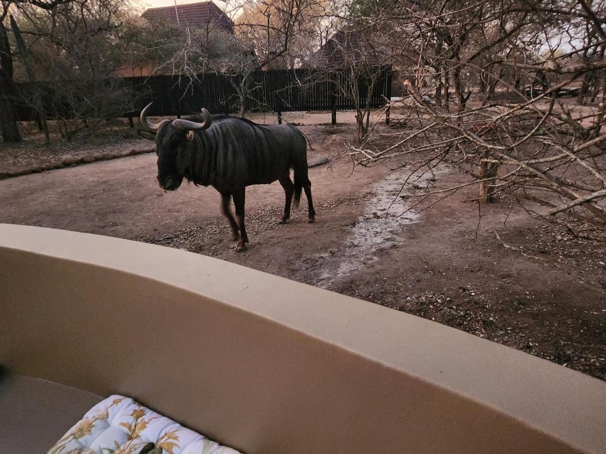 Kudus Crest Bush Retreat Apartment Marloth Park Bagian luar foto