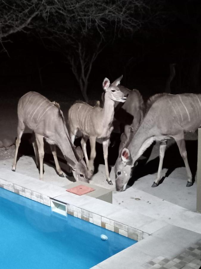 Kudus Crest Bush Retreat Apartment Marloth Park Bagian luar foto
